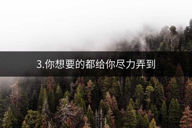 3.你想要的都給你盡力弄到