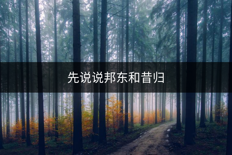 先說(shuō)說(shuō)邦東和昔歸