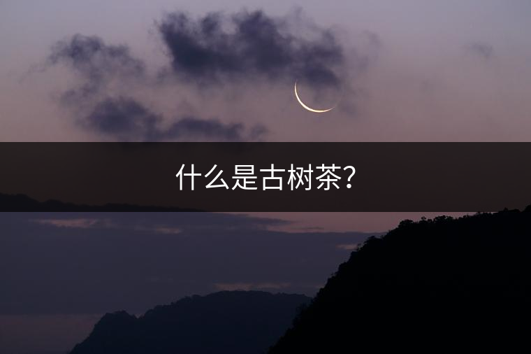 什么是古樹茶？