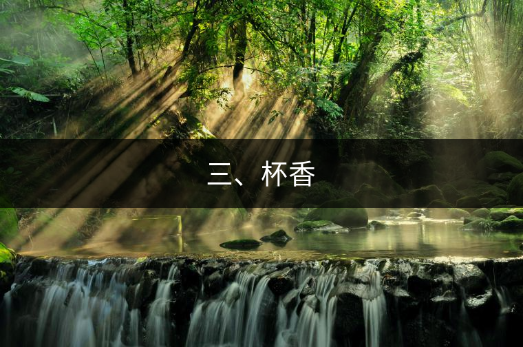 三、杯香