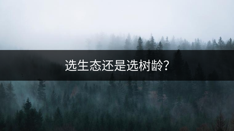 選生態(tài)還是選樹齡？
