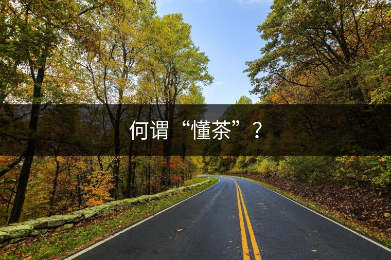 何謂“懂茶”？