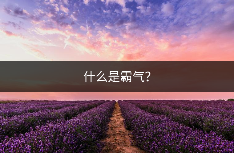 什么是霸氣？