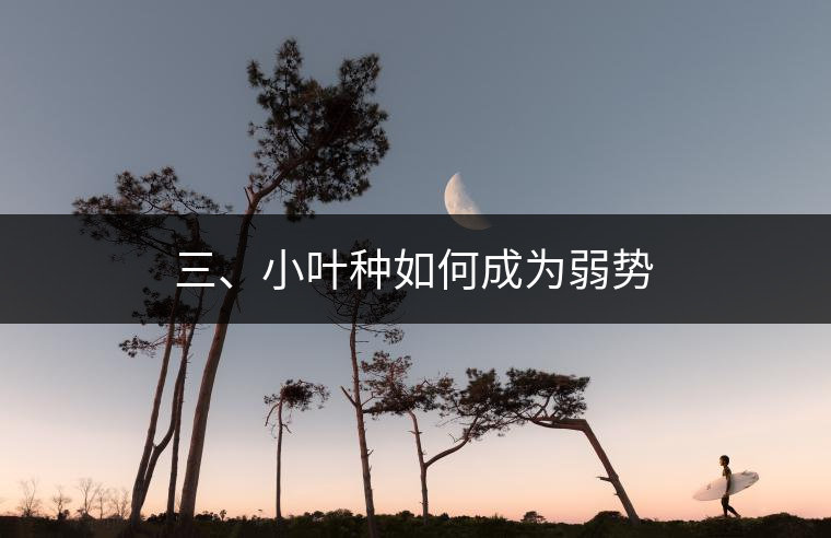 三、小葉種如何成為弱勢
