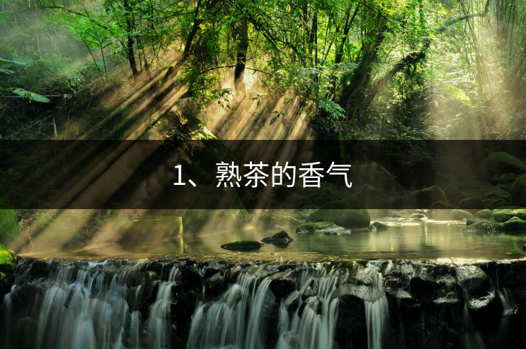 1、熟茶的香氣