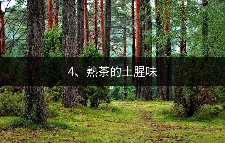 4、熟茶的土腥味