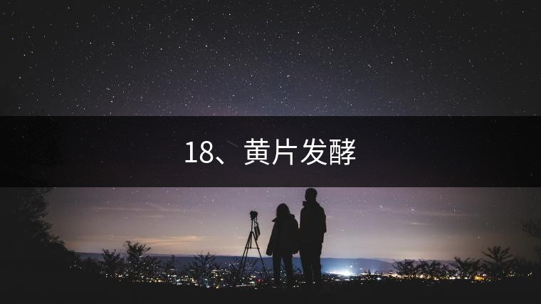18、黃片發(fā)酵