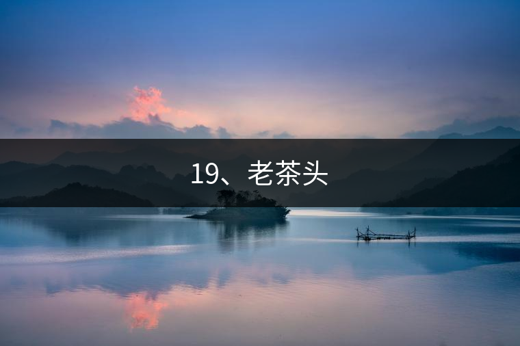 19、老茶頭