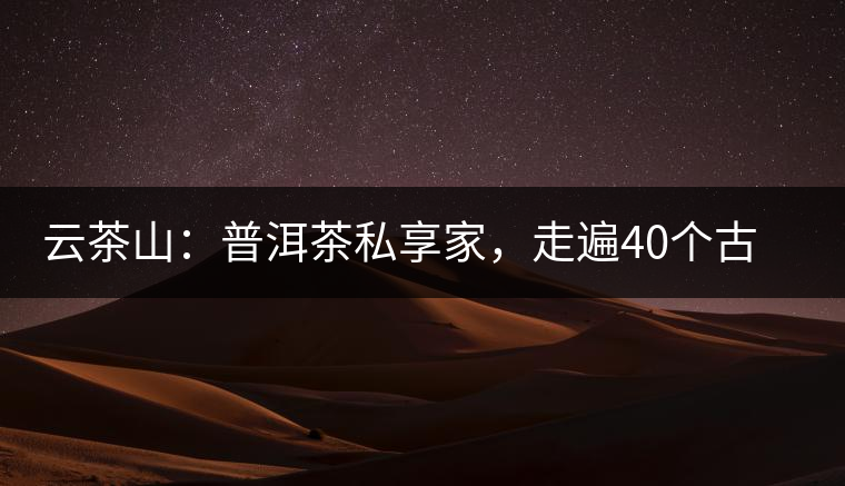 云茶山：普洱茶私享家，走遍40個古寨，24小時提供專家評分與產地茶農一手報價