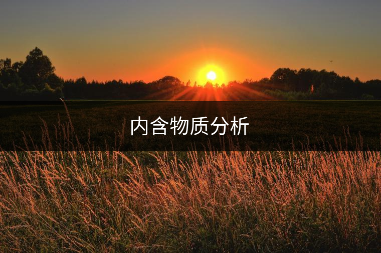 內(nèi)含物質(zhì)分析