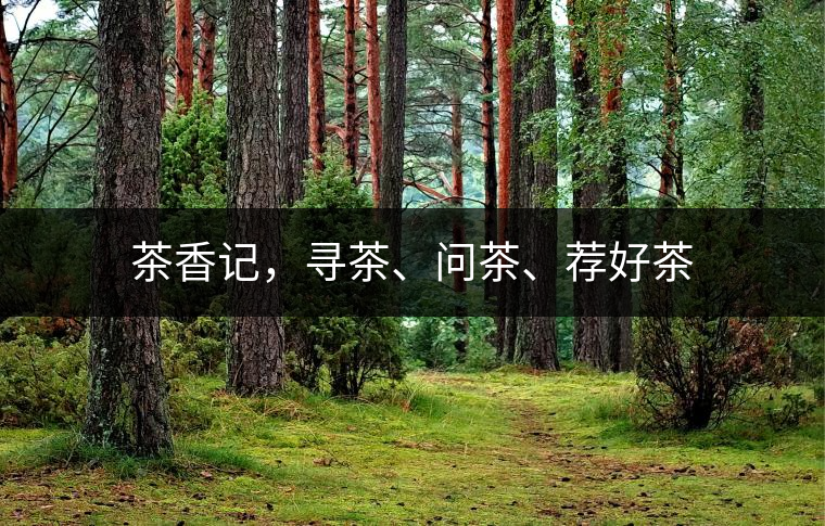 茶香記，尋茶、問茶、薦好茶
