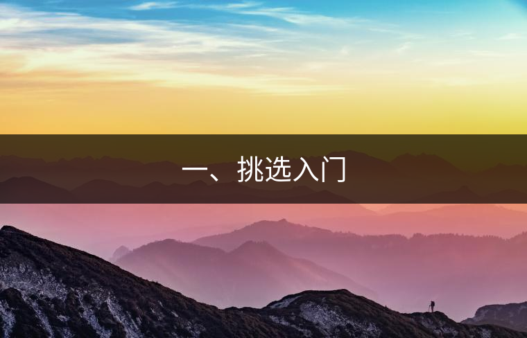 一、挑選入門