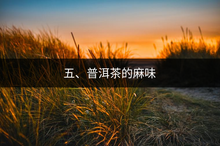 五、普洱茶的麻味