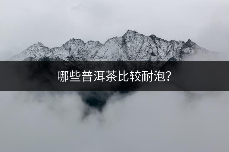 哪些普洱茶比較耐泡？