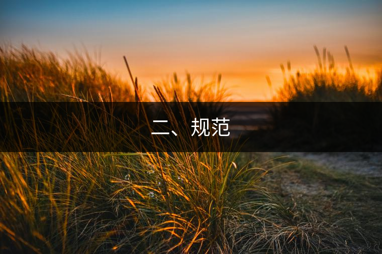 二、規(guī)范
