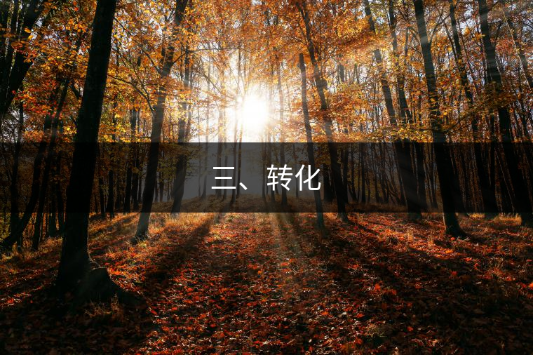三、轉(zhuǎn)化