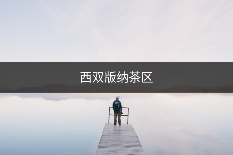 西雙版納茶區(qū)