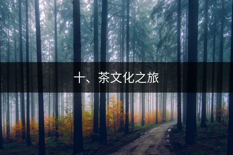 十、茶文化之旅