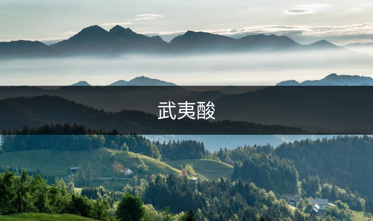 武夷酸