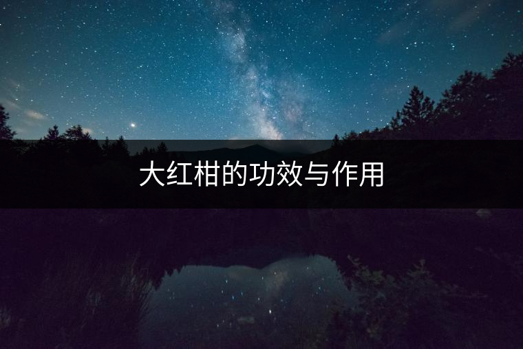 大紅柑的功效與作用
