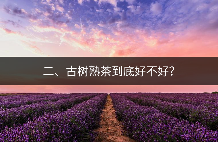 二、古樹熟茶到底好不好？