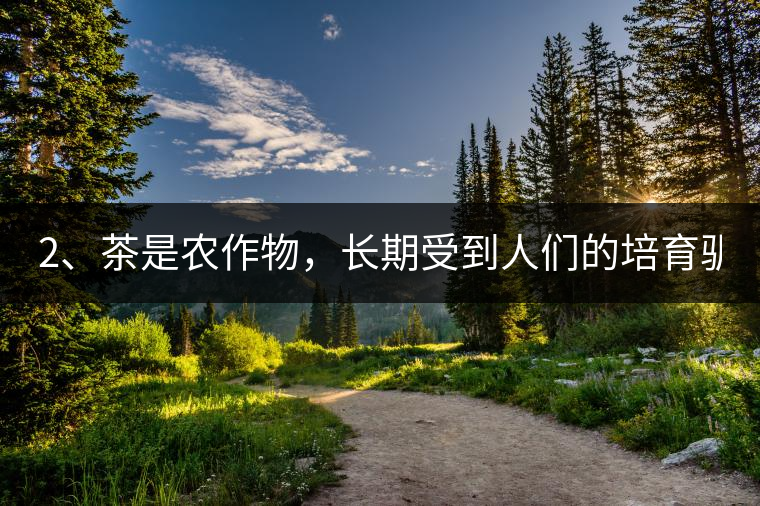 2、茶是農(nóng)作物，長期受到人們的培育馴化。