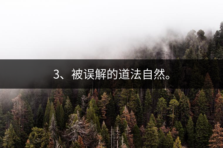 3、被誤解的道法自然。