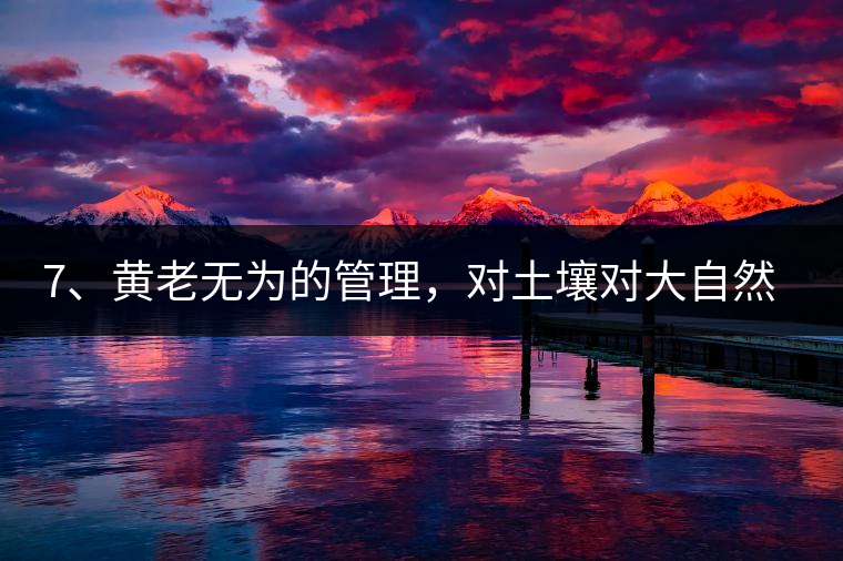 7、黃老無為的管理，對土壤對大自然的過渡依賴，對茶樹根疏忽。