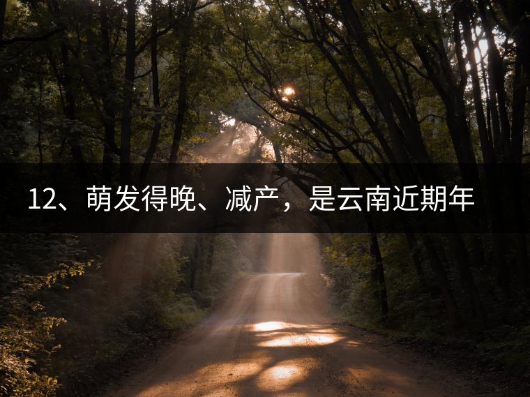 12、萌發(fā)得晚、減產(chǎn)，是云南近期年氣候變化在茶樹上的延遲反映。