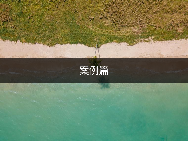 案例篇