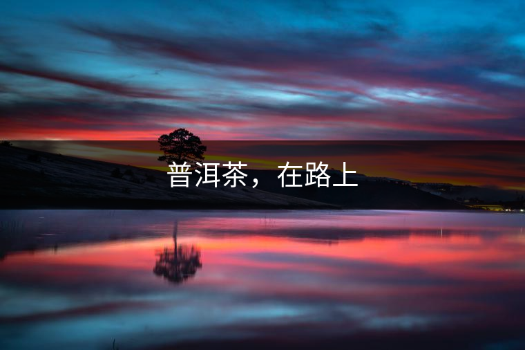 普洱茶，在路上