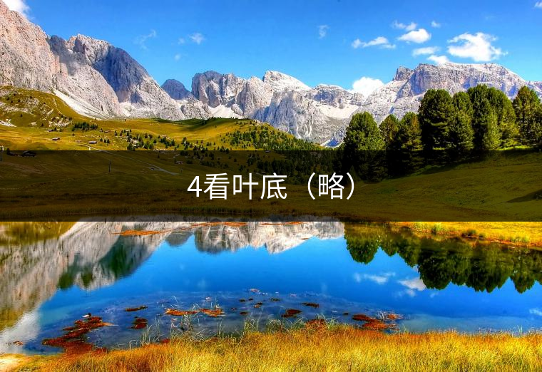 4看葉底（略）