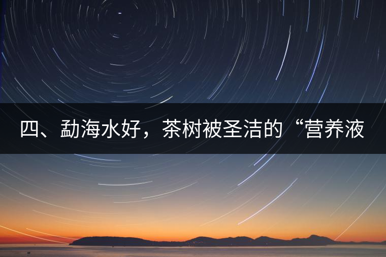 四、勐海水好，茶樹被圣潔的“營(yíng)養(yǎng)液”所滋養(yǎng)