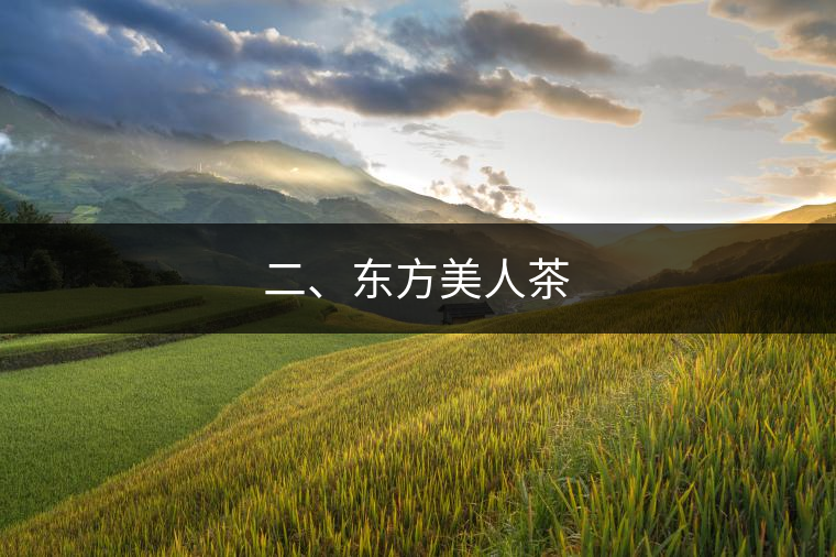 二、東方美人茶