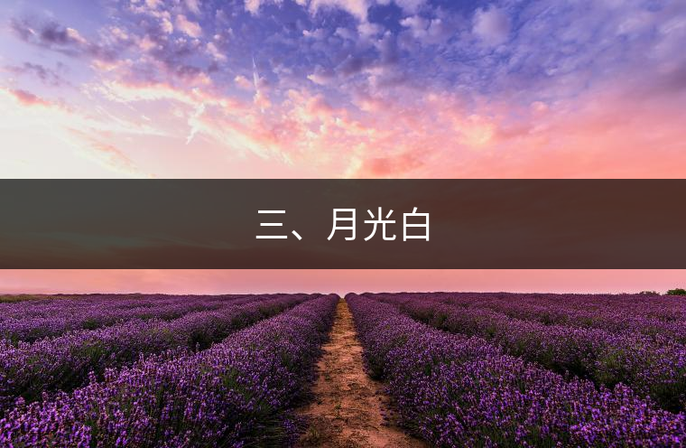 三、月光白