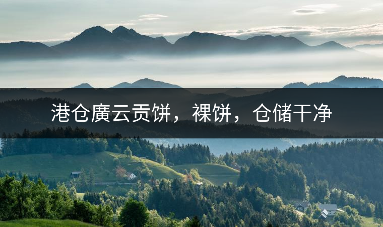 港倉(cāng)廣云貢餅，裸餅，倉(cāng)儲(chǔ)干凈