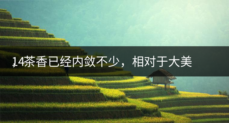 14
，茶香已經內斂不少，相對于大美來說，海鮮味淡很多，7克投茶，180的壺，投量略少，注水控制在150的樣子，細嗅茶底，略有堆味，洗茶一遍，6s出湯，入口堆味幾乎不顯，微苦，香氣介于藥香和咖啡香之間。