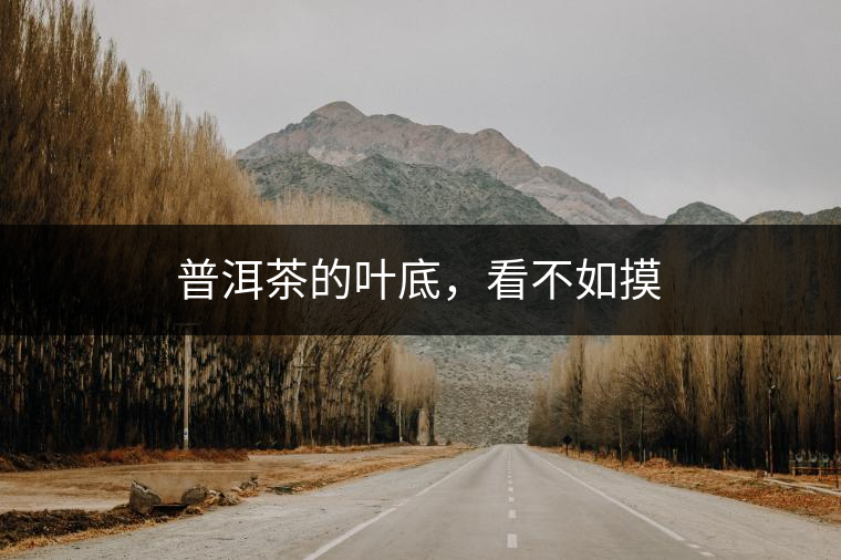 普洱茶的葉底，看不如摸