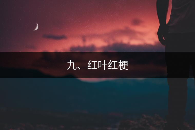 九、紅葉紅梗