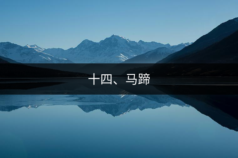 十四、馬蹄