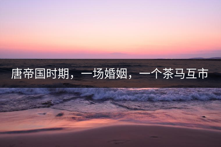 唐帝國(guó)時(shí)期，一場(chǎng)婚姻，一個(gè)茶馬互市，讓這里結(jié)束了漢藏對(duì)峙。宋代南茶北，西北茶馬司設(shè)立，因茶而改變的生活日益凸顯。元代八思巴與忽必烈在這一區(qū)域結(jié)盟，為蒙藏兩大民族交往鋪好通衢大道，明代俺答汗與達(dá)賴在山海之間追思各自先人，青海人宗喀巴創(chuàng)建的黃教通過(guò)蒙、藏兩大領(lǐng)袖的推廣，締造了影響至今的格局。大清經(jīng)過(guò)康、雍、乾三代勵(lì)精圖治，滿、藏、蒙各自龐大的疆域第一次完整地統(tǒng)轄在中央帝國(guó)的版圖下。