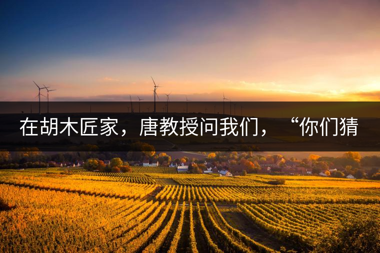 在胡木匠家，唐教授問(wèn)我們，“你們猜猜他們家的茶放在哪里？”我們回答廚房、客廳都不對(duì)，“難道像寺院一樣，有專門的茶房不成？”教授和木匠都哈哈大笑，連連搖頭。在木匠的帶領(lǐng)下，我們來(lái)到主人的臥室，茶磚整齊有序地堆放在床頭柜里。一家之主的臥室，既是休息之所，亦是一家財(cái)富與傳家寶的收藏地。茶之精貴，毋需多言。