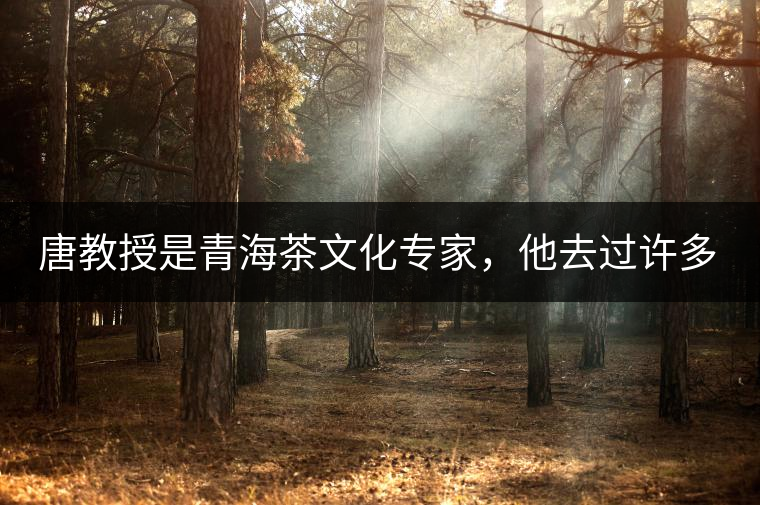 唐教授是青海茶文化專家，他去過(guò)許多游牧家做調(diào)查，總結(jié)下來(lái)就是，磚茶現(xiàn)在雖然易得，但其作為“禮”象征性一直在延續(xù)，一個(gè)家庭，擁有茶磚數(shù)量的多少，既是家庭財(cái)富多寡的考量，亦是家庭地位的考量。茶越多，說(shuō)明其家庭越富裕，地位也顯赫。茶在儲(chǔ)藏的同時(shí)，也在流通，你送多少與被送多少，都取決于你是何等人家。