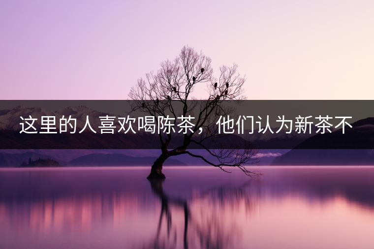 這里的人喜歡喝陳茶，他們認(rèn)為新茶不好喝?？季窟@一消費(fèi)習(xí)慣，可以追溯到西北地區(qū)茶葉運(yùn)輸和儲(chǔ)藏方式，南茶北上后，為了方便運(yùn)輸，都被加工成“磚”樣，到了西北后，大批量的茶進(jìn)入政府的茶馬司倉(cāng)庫(kù)和寺院的大茶房。明、清茶馬司約五年清理、拋售一次陳茶，價(jià)格便宜，許多百姓大量購(gòu)茶都是這個(gè)時(shí)期，寺院的熬茶布施時(shí)間也被限定在特別的日子，故老百姓消費(fèi)陳茶是被迫形成的習(xí)慣。今天普通百姓長(zhǎng)期飲用的茶，都來(lái)自湖南益陽(yáng)。茯磚茶在青海流行，大約歸結(jié)于晚清湖南人左宗棠在西北推廣的“茶柜”制度。