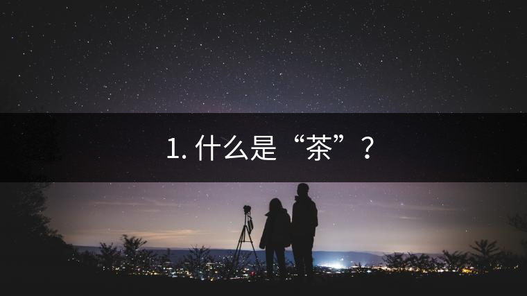 ? 1. 什么是“茶”？