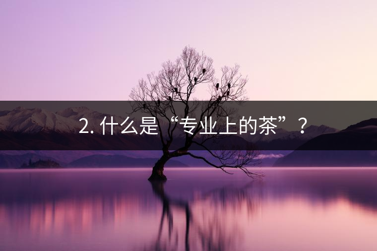? 2. 什么是“專業(yè)上的茶”？