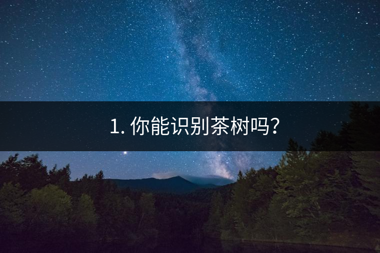 ??1. 你能識別茶樹嗎？