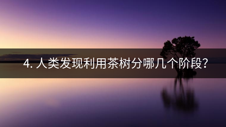 ? 4. 人類發(fā)現(xiàn)利用茶樹分哪幾個階段？