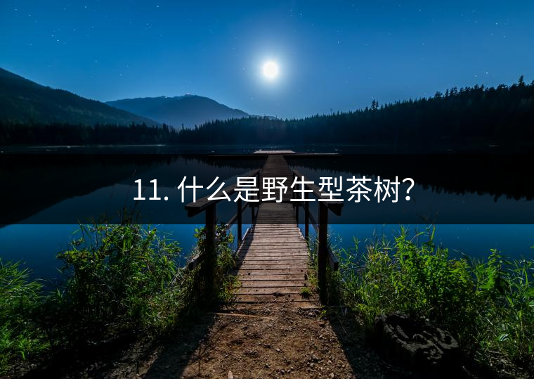 ? 11. 什么是野生型茶樹？