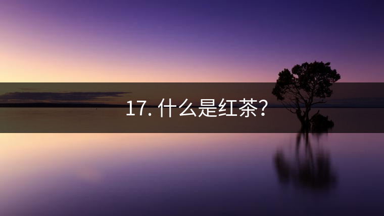 ? 17. 什么是紅茶？